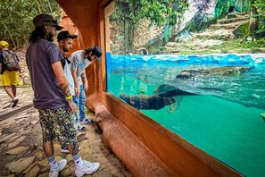 Exterior - Refugio Llanero Hotel (Villavicencio)