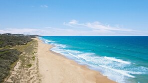 Beach - Tropical Oasis - Walk to Beach (Marcus Beach)