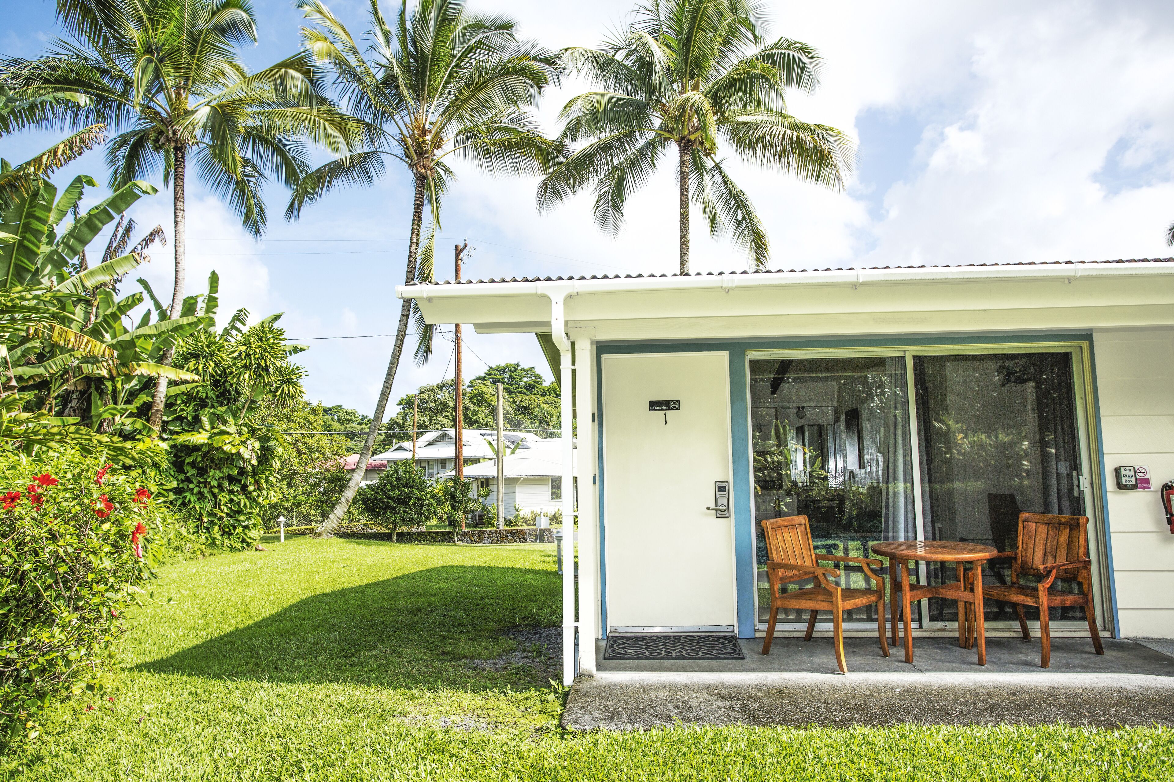 Classic Studio | Garden view