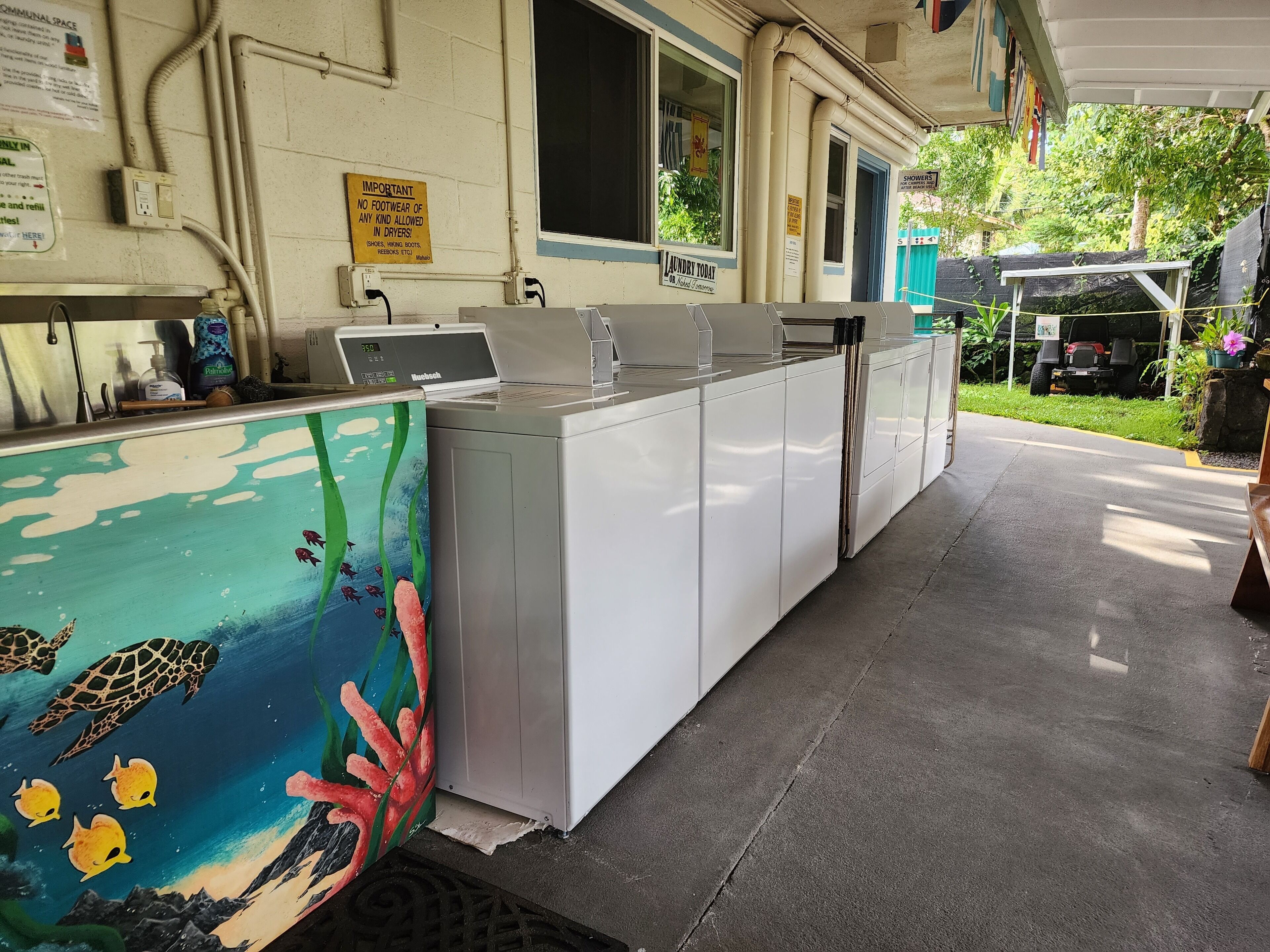 A laundry facility with industrial washing machines, a sign prohibiting footwear in dryers, and a mural of marine life on the wall.