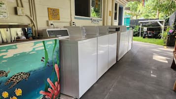 A laundry facility with industrial washing machines, a sign prohibiting footwear in dryers, and a mural of marine life on the wall.