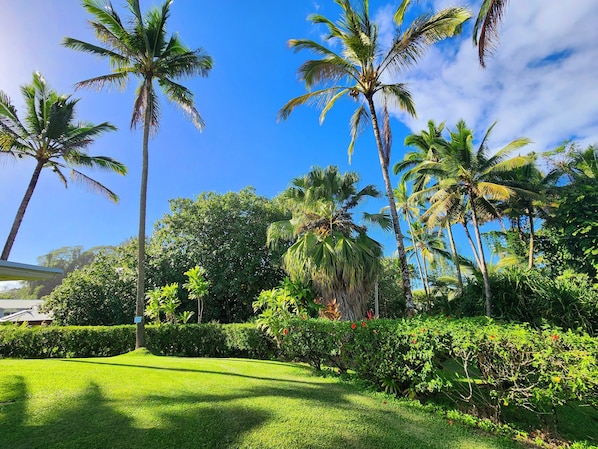 Basic Twin Room | Garden view