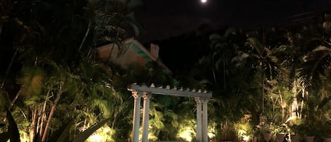 Kolam renang outdoor, dengan payung kolam renang dan kursi berjemur