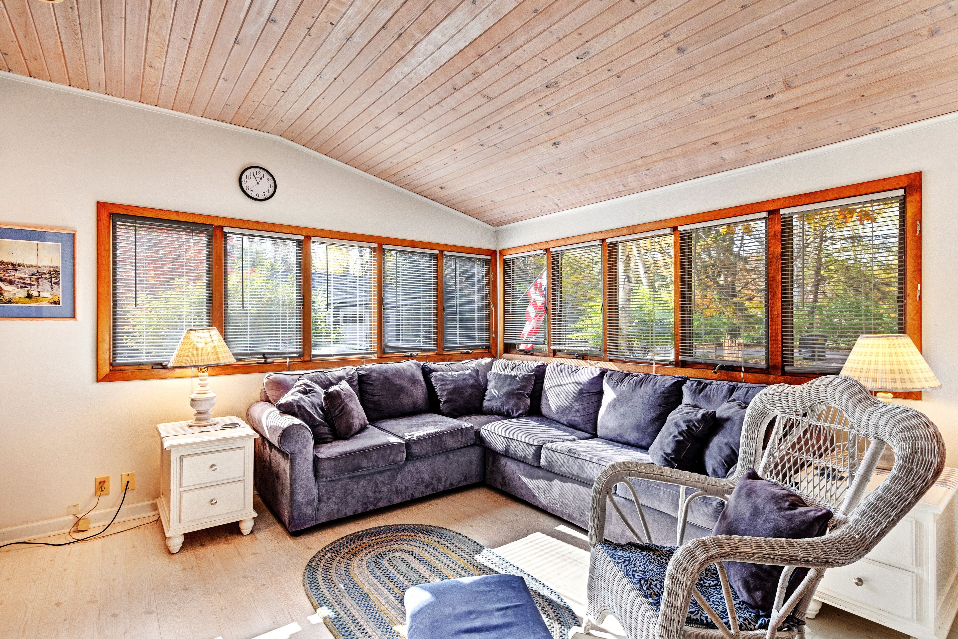 Télévision, cheminée, lecteur de DVD