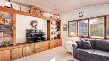 TV, fireplace, DVD player