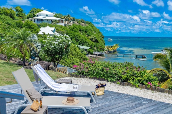 المنطقة المحيطة بالمنشأة