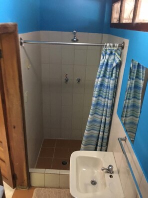 Shower, soap, toilet paper