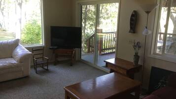 Smart TV, fireplace, DVD player, books