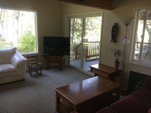 Smart TV, fireplace, DVD player, books