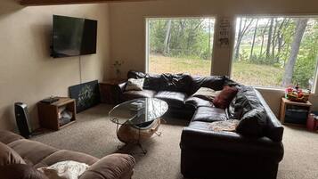 Smart TV, fireplace, DVD player, books