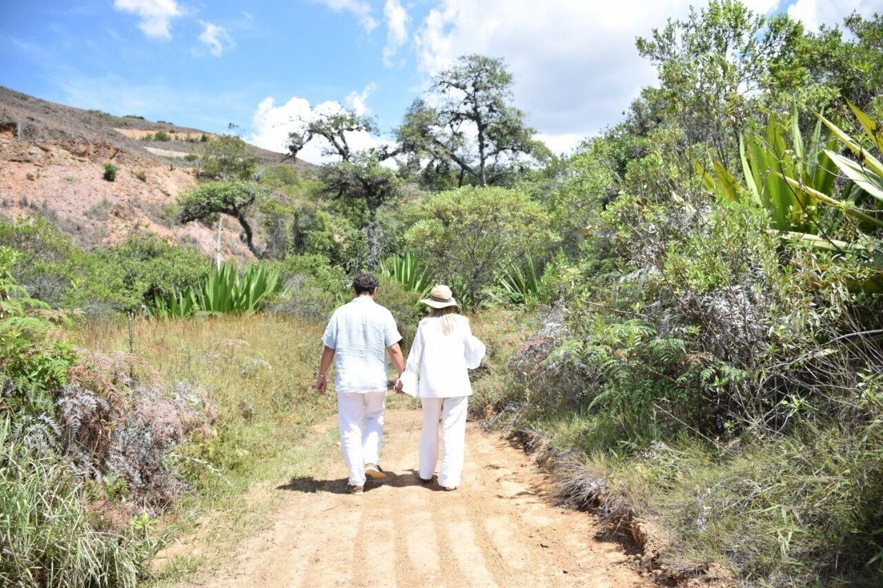 A dirt path in a natural setting with greenery and trees.