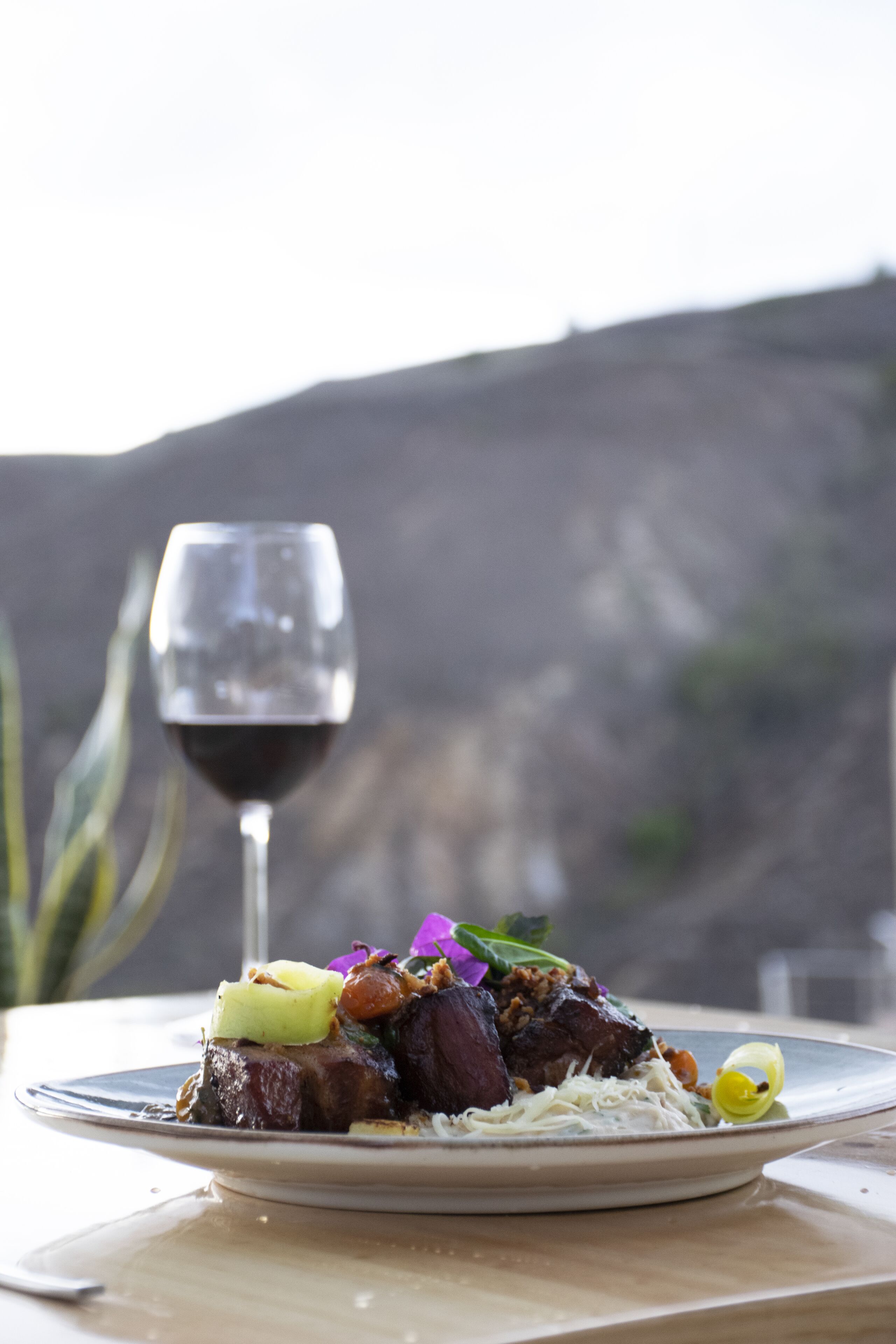A plate of food with a glass of red wine and a mountain view in the background.