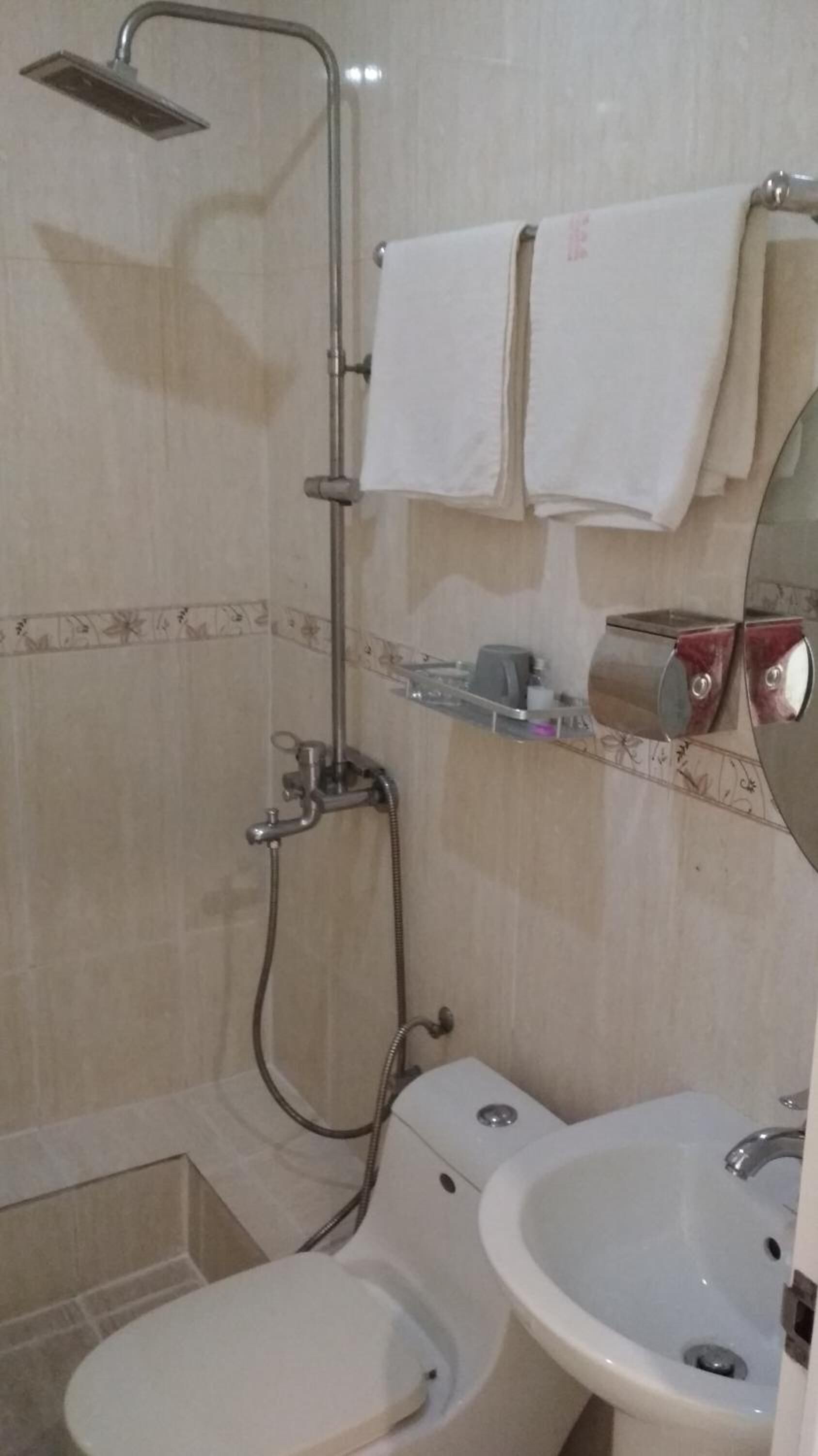 Shower, hair dryer, bidet, towels