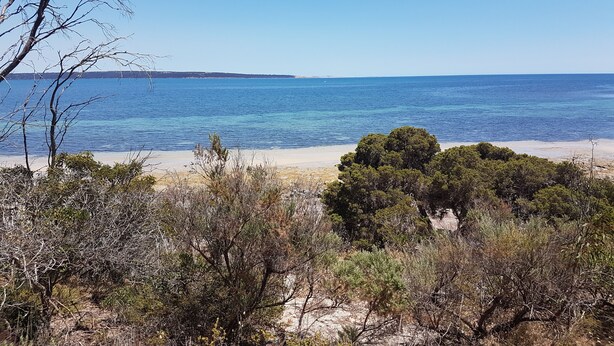 A beach with clear blue water, sandy shore, and dense greenery in the foreground. - Gilligan's Kangaroo Island (Baudin Beach)
