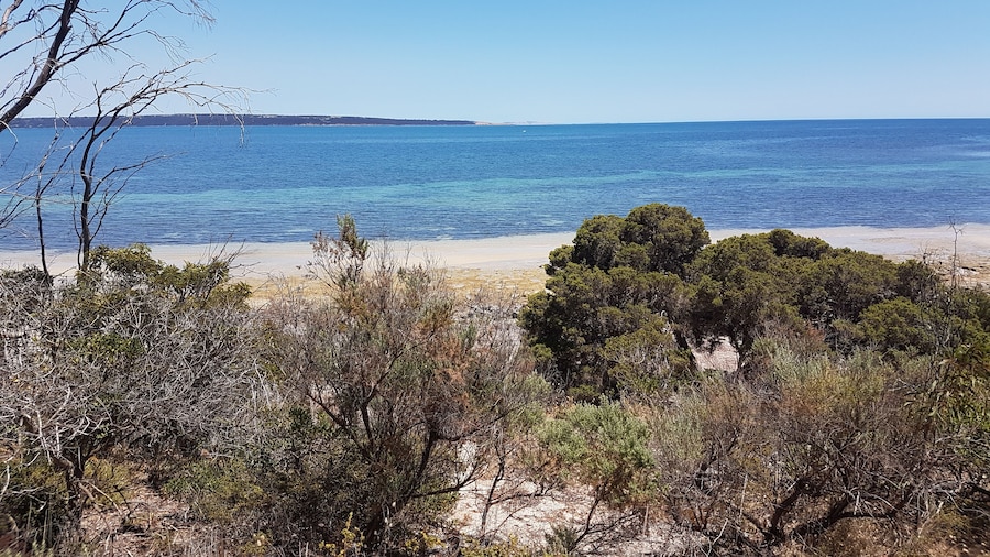 Gilligan's Kangaroo Island