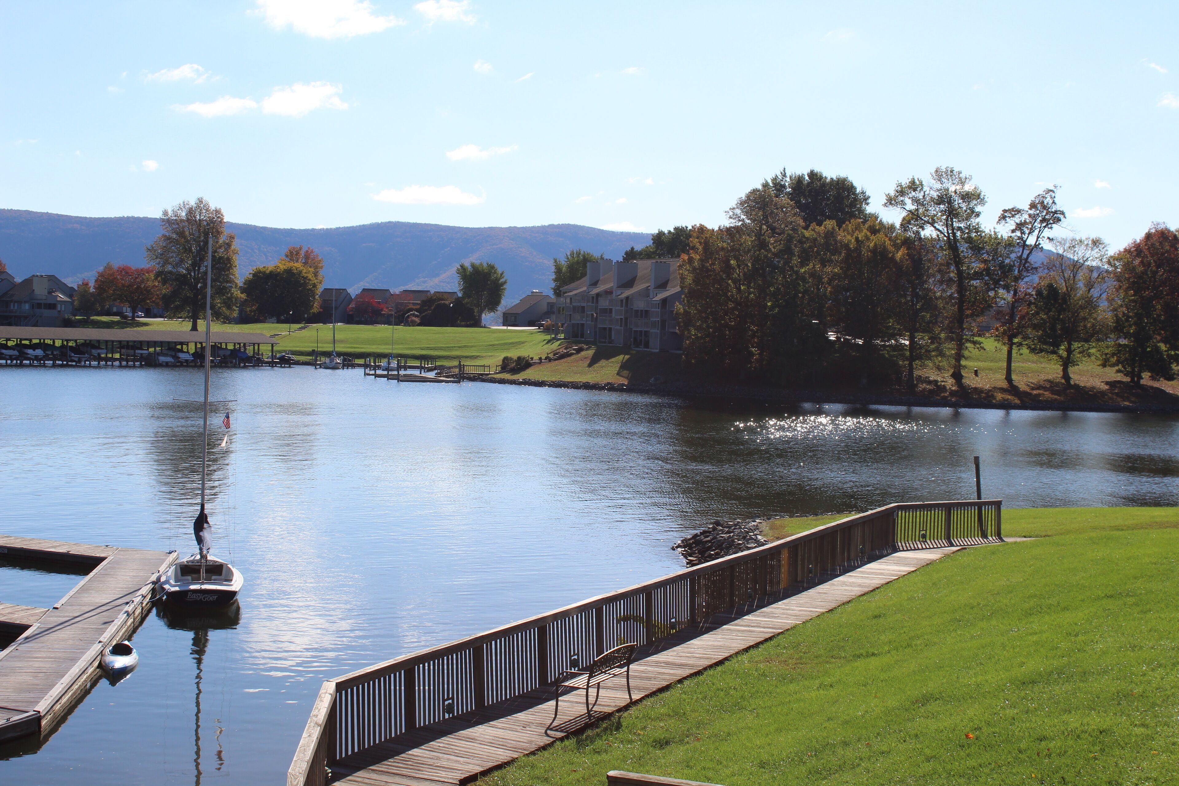 A lake with a dock and a boat, surrounded by a grassy area and trees.