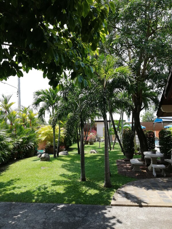 Classic Single Room | Garden view