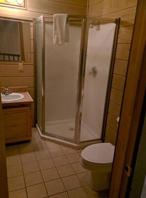 Combined shower/tub, towels, soap, toilet paper