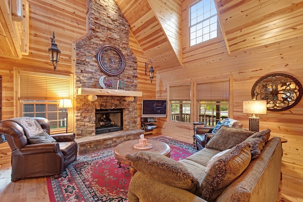 TV, fireplace, DVD player, books