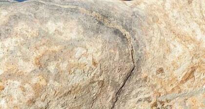 Yucca House Yksityinen 1 Bdrm w / Yksityinen graniitti kylpyamme ja valtava piha