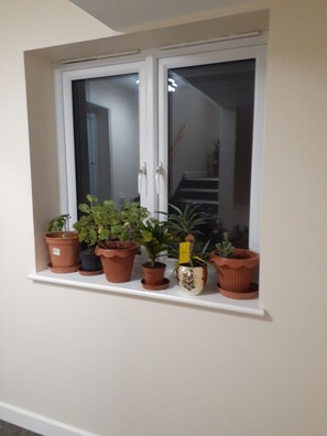 Interior - Beautiful Park View  Apartment-5 In Central (Cambridge)