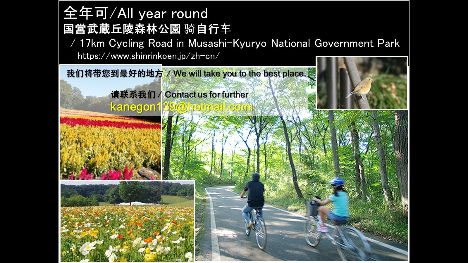 Una carretera para ciclistas de 17 kilómetros en el Parque Nacional Musashi-Kyūryō, propiedad del gobierno.