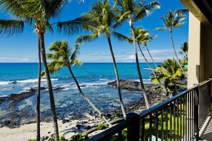 Property grounds - Gorgeous Renovated Oceanfront Condo - AC & Free WIFI/Parking/Cable (Kailua KONA)
