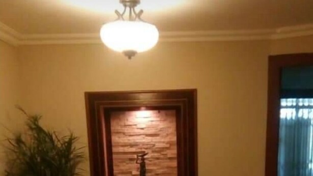 A hallway with a tiled floor, a potted plant, a framed picture, and a ceiling light fixture. - Alquilo Apartamento Centro Guayaquil (Guayaquil)