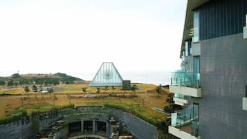 Deluxe Apartment | City view