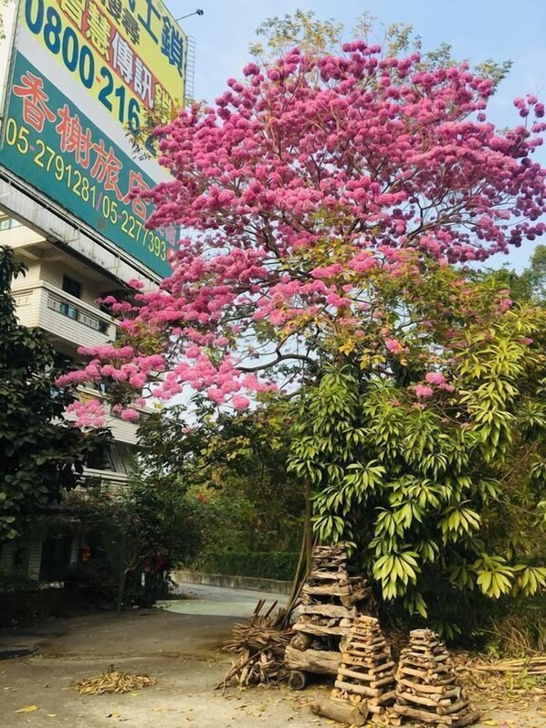 Exterior - Rural Area Hotel (Zhuqi)