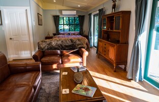 Smart TV, chimenea, Netflix, libros