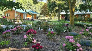 Een tuin met verschillende bloemen en bomen, een houten gebouw met een groen dak, en een heldere lucht.
