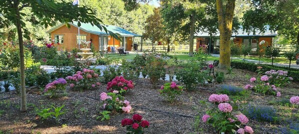 A garden with various flowers and trees, a wooden building with a green roof, and a clear sky. - The Jolly Poacher Retreat (Spring Creek)