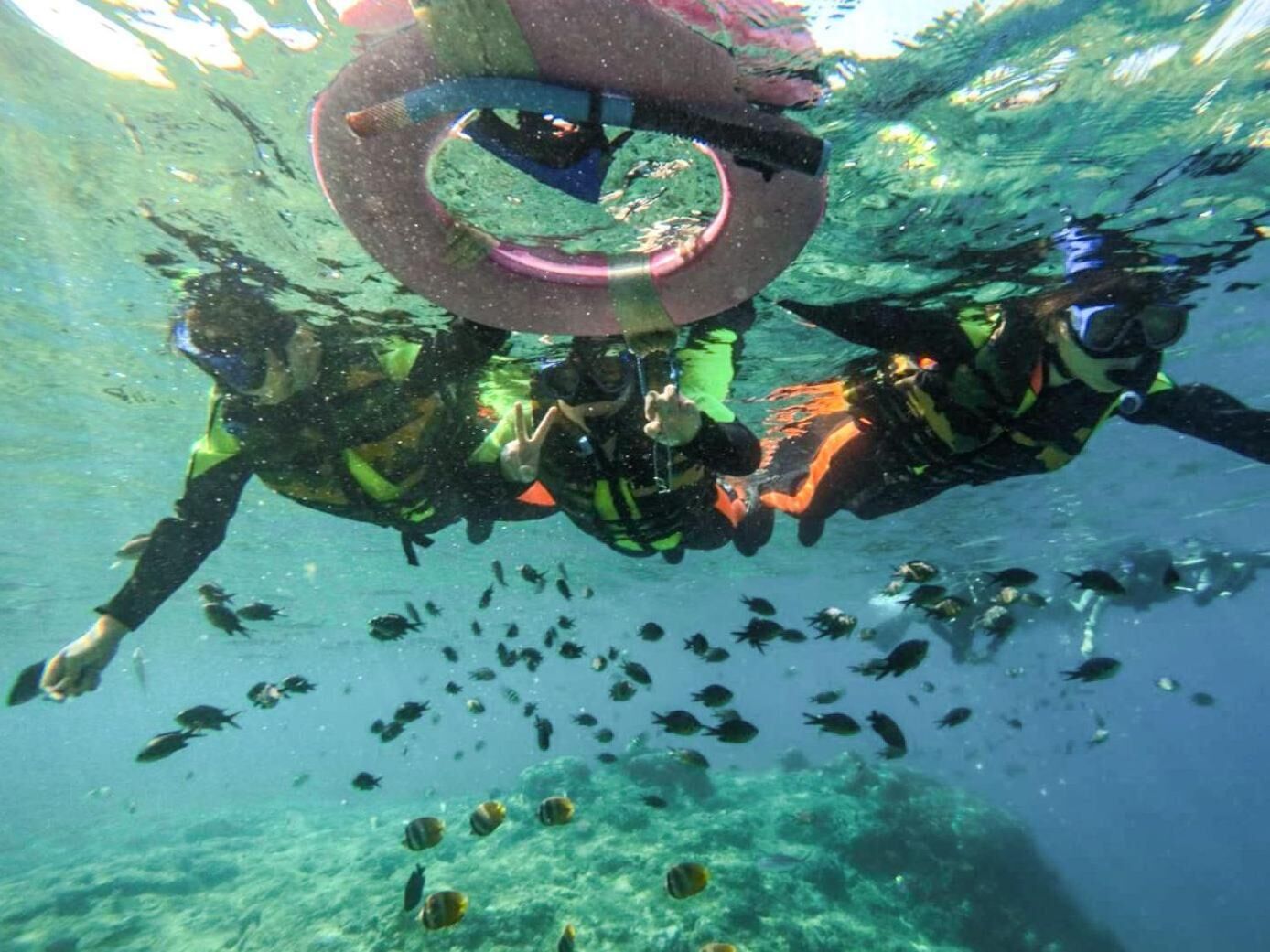 An underwater view of a diver with a camera, surrounded by fish.