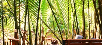 Ben Tre Farm Stay