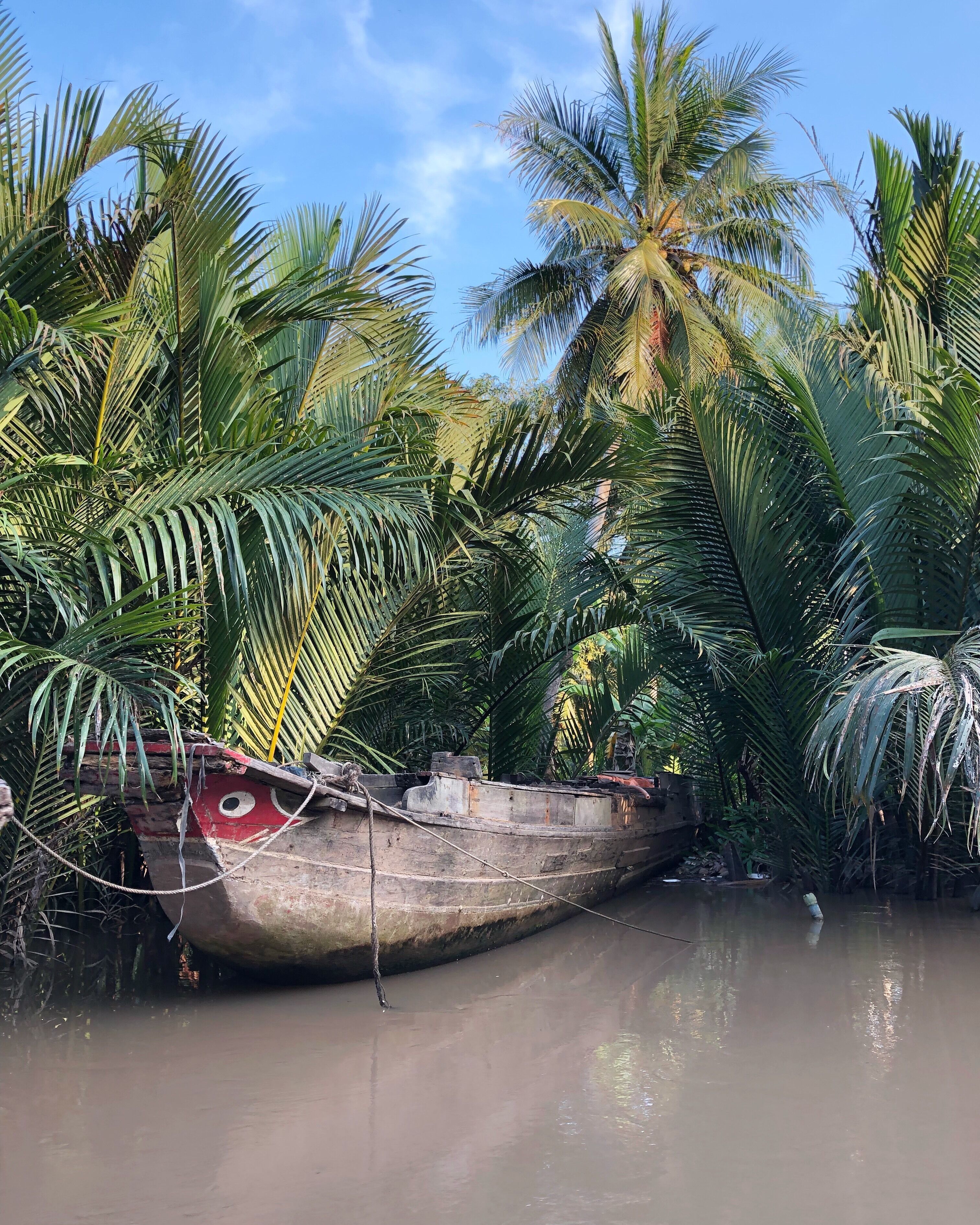 A boat tied to a dock surrounded by palm trees.