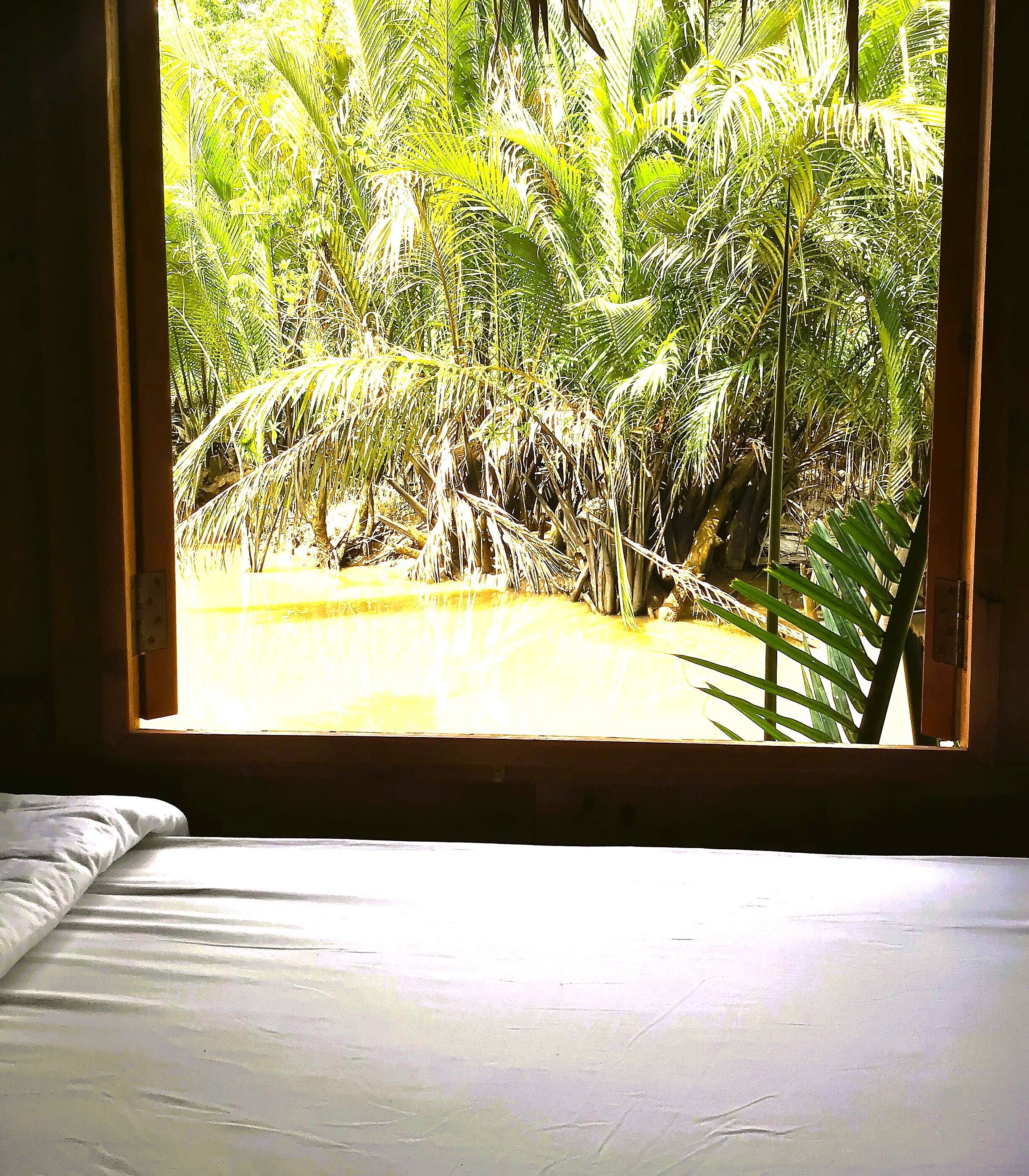 A room with a bed and a window overlooking a dense tropical garden.