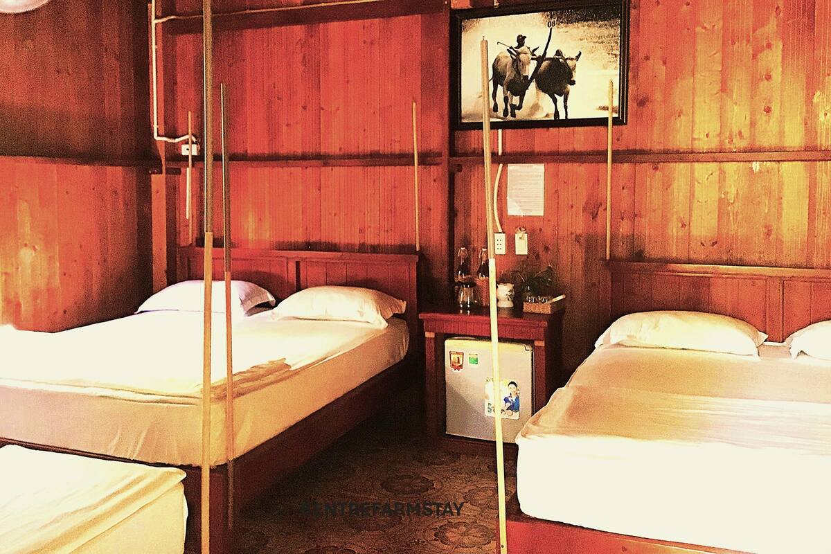 Una habitación con dos camas, paredes de madera, una mesita con lámpara y un cuadro en la pared.