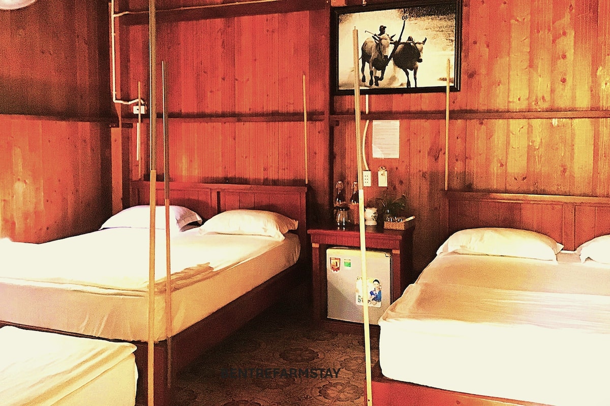Phòng 3 cơ bản | Trang trí khác biệt, trang bị nội thất với thiết kế riêng biệt, bàn