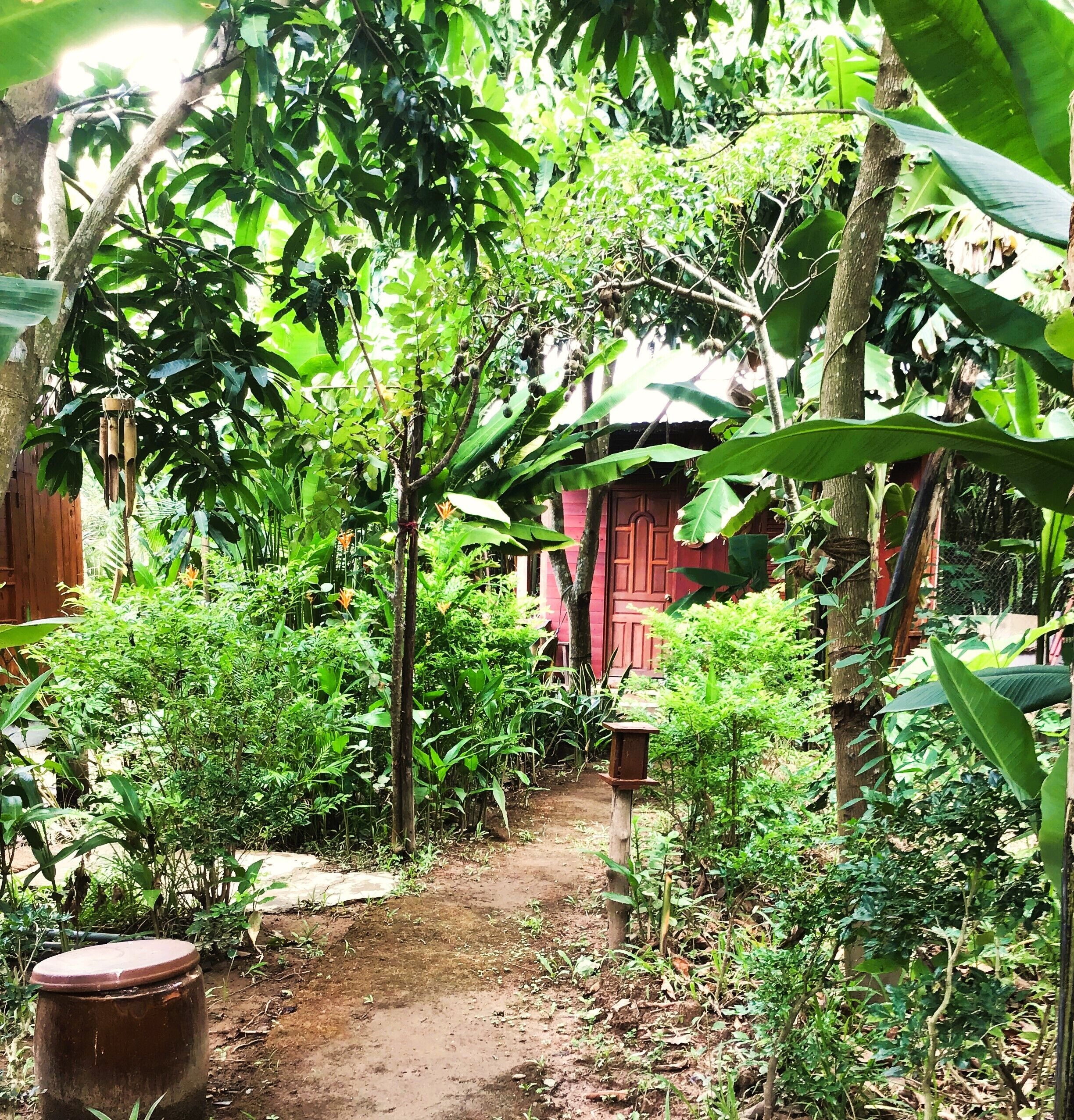 A garden path leading to a red building surrounded by lush greenery.