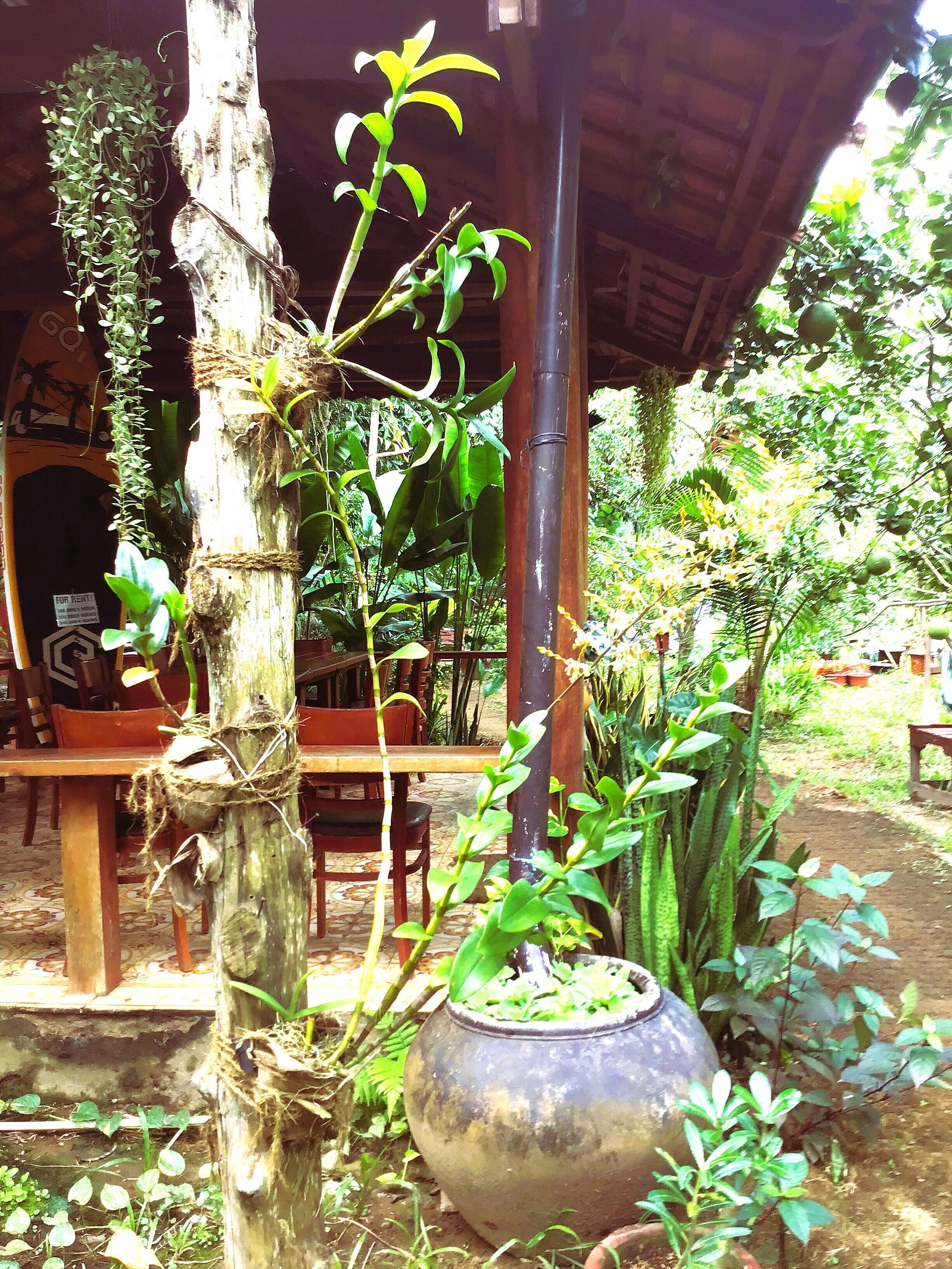 Ngoại thất