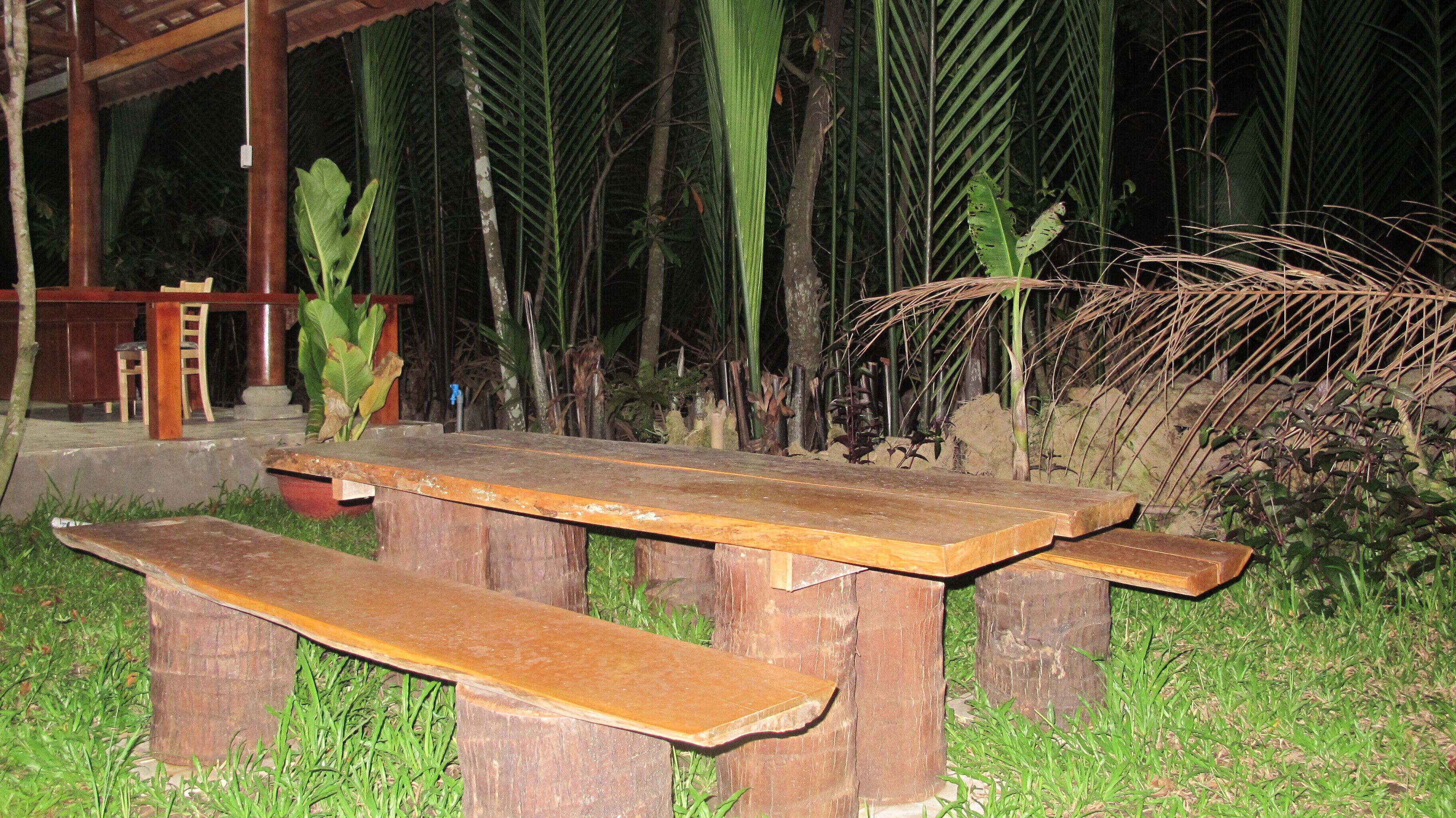 Una mesa de picnic de madera con bancos, rodeada de abundante vegetación y palmeras.