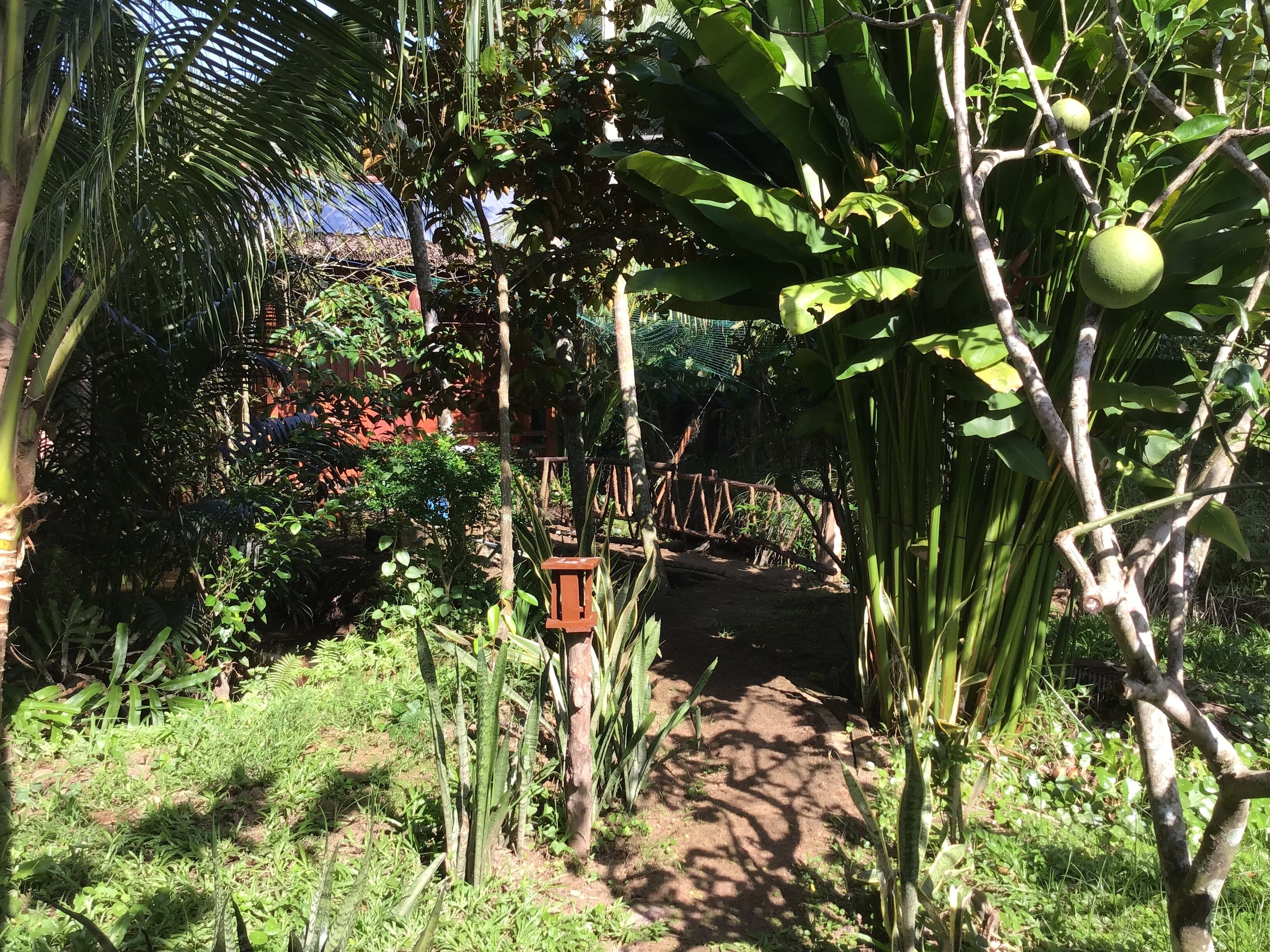A garden pathway surrounded by lush greenery and a rustic wooden fence.