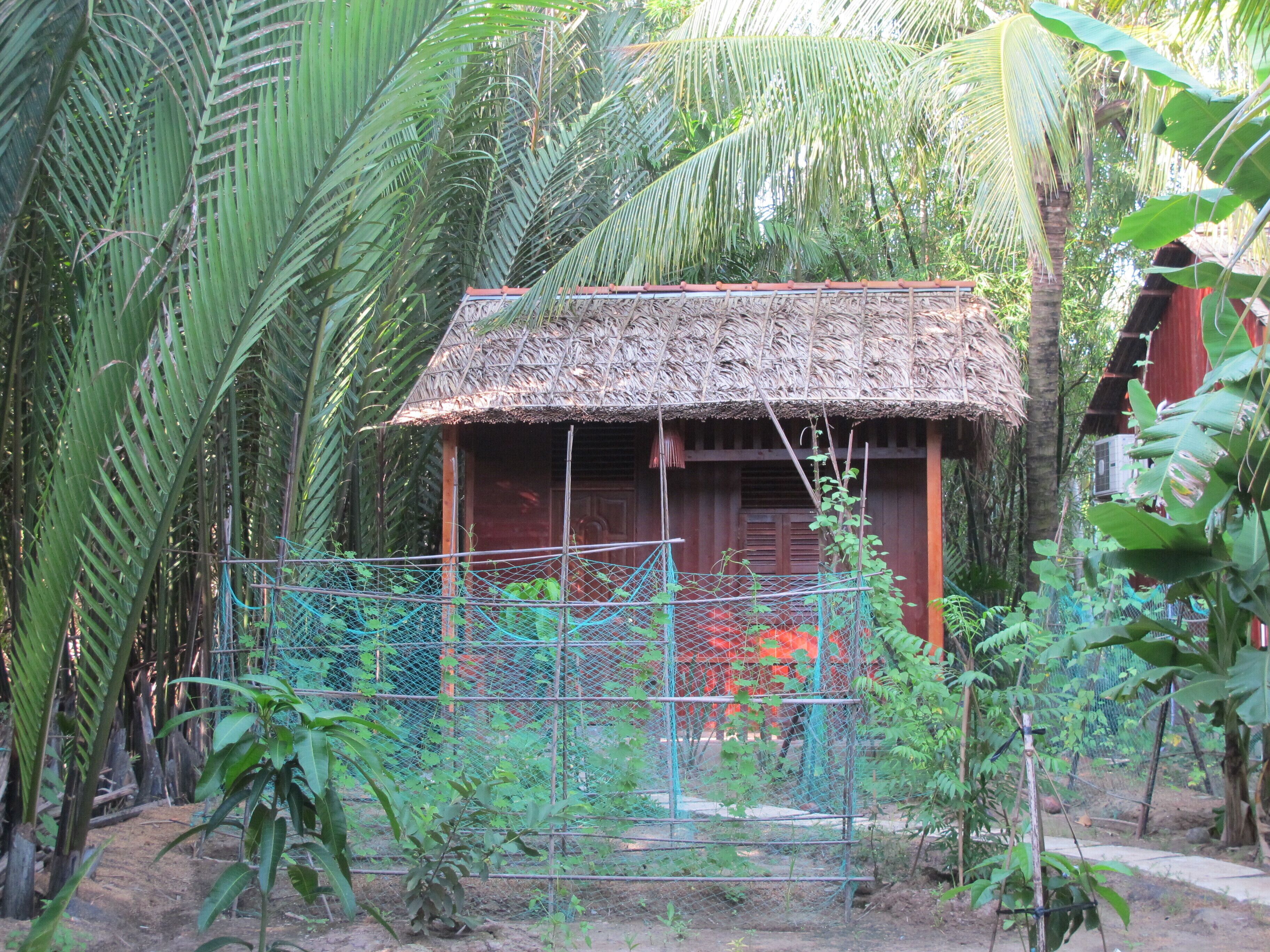 A rustic thatched-roof structure surrounded by dense tropical foliage, with a metal fence in the foreground.
