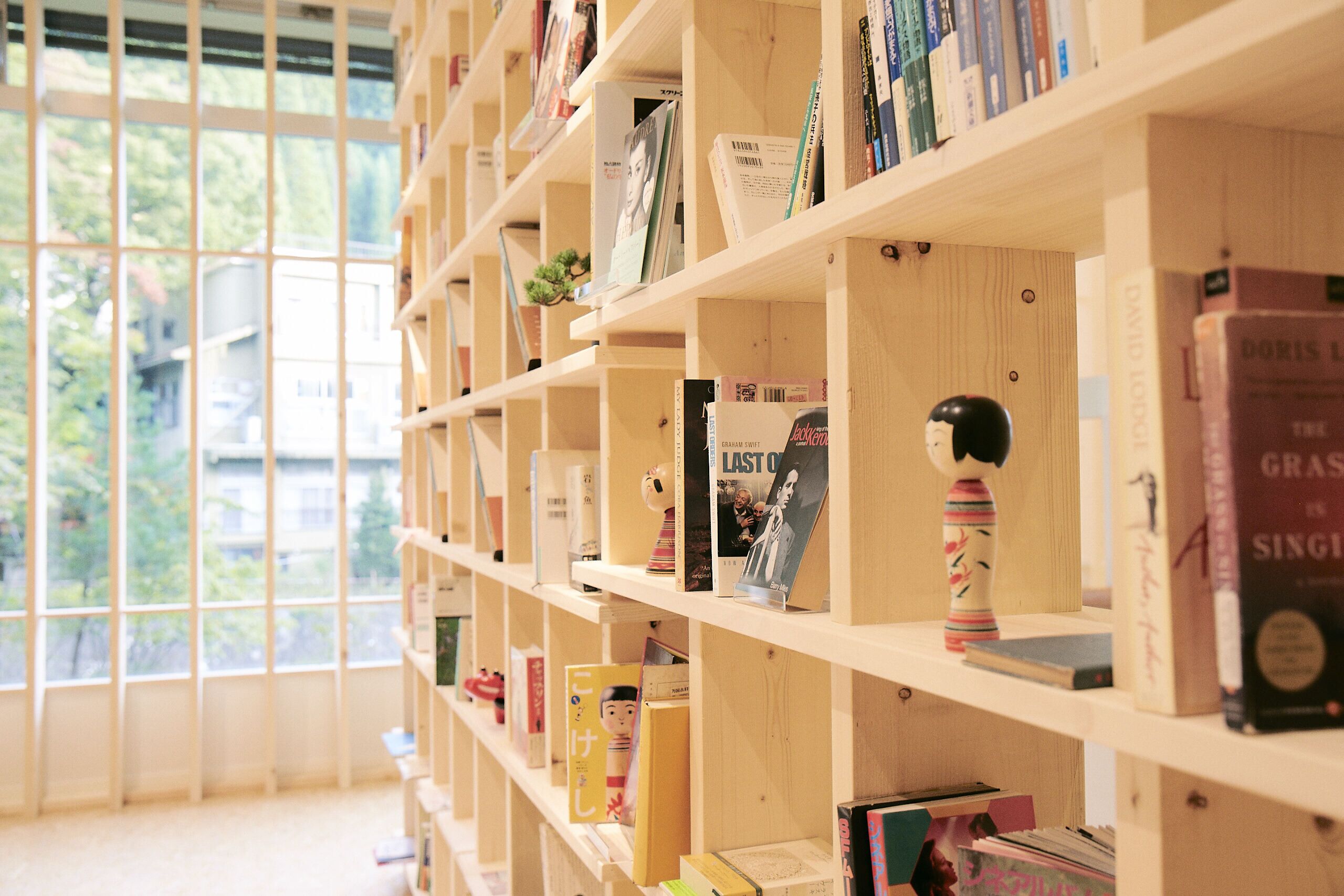 A bookshelf with various books and a small plant.