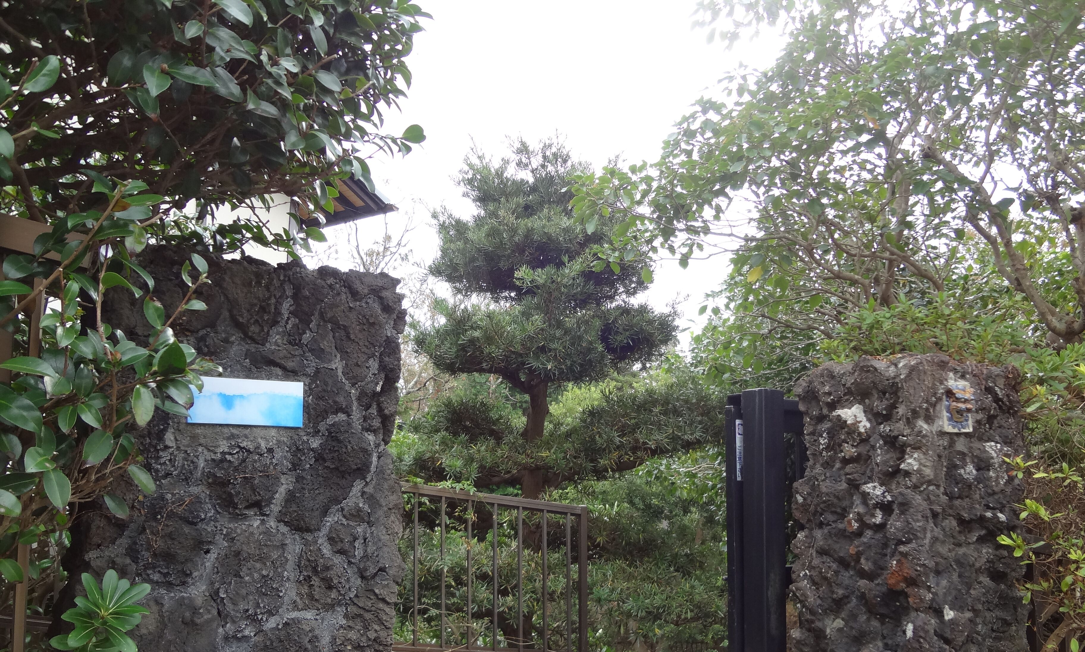 A garden with a stone wall, a metal gate, and a tree with dense foliage.
