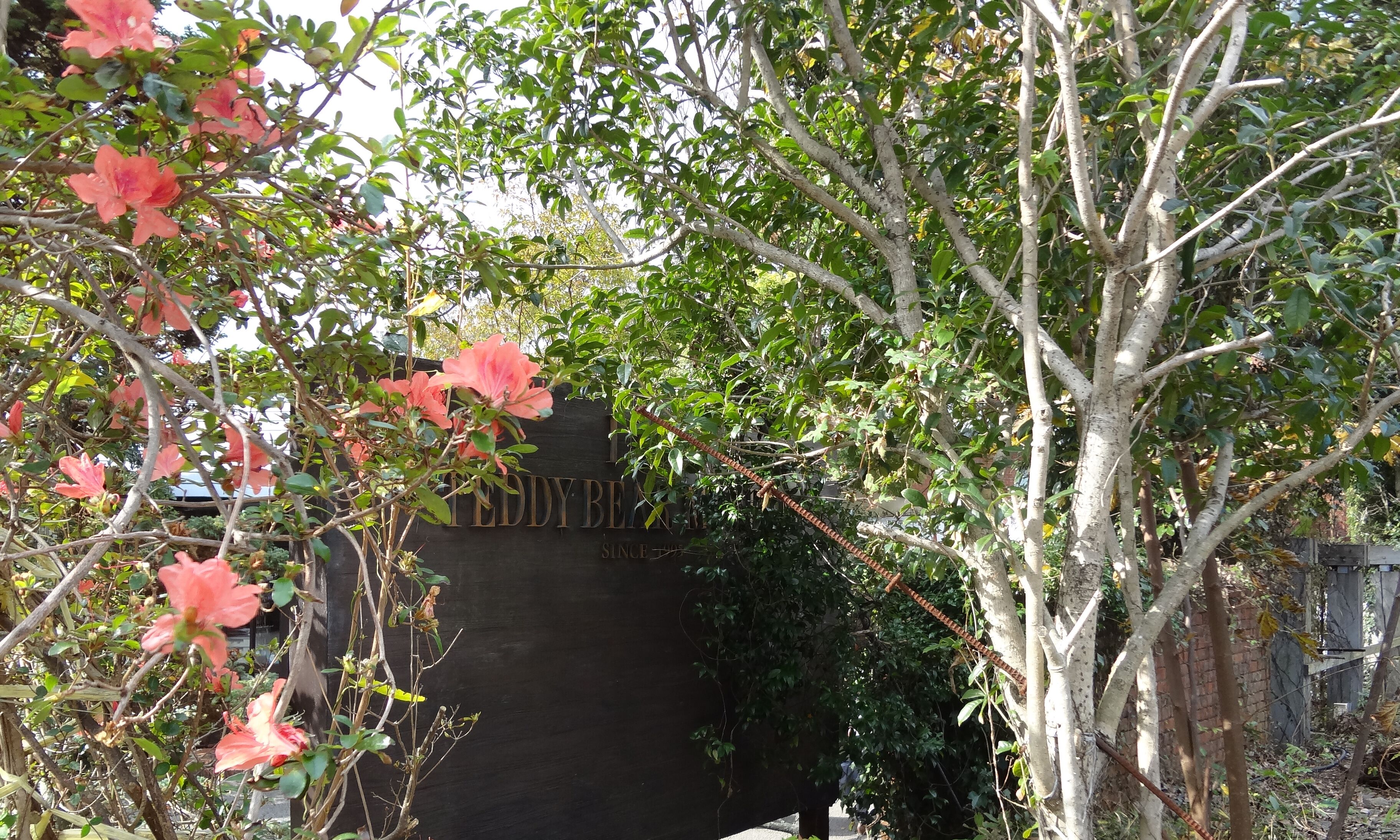 A garden with flowering plants and a brick wall.