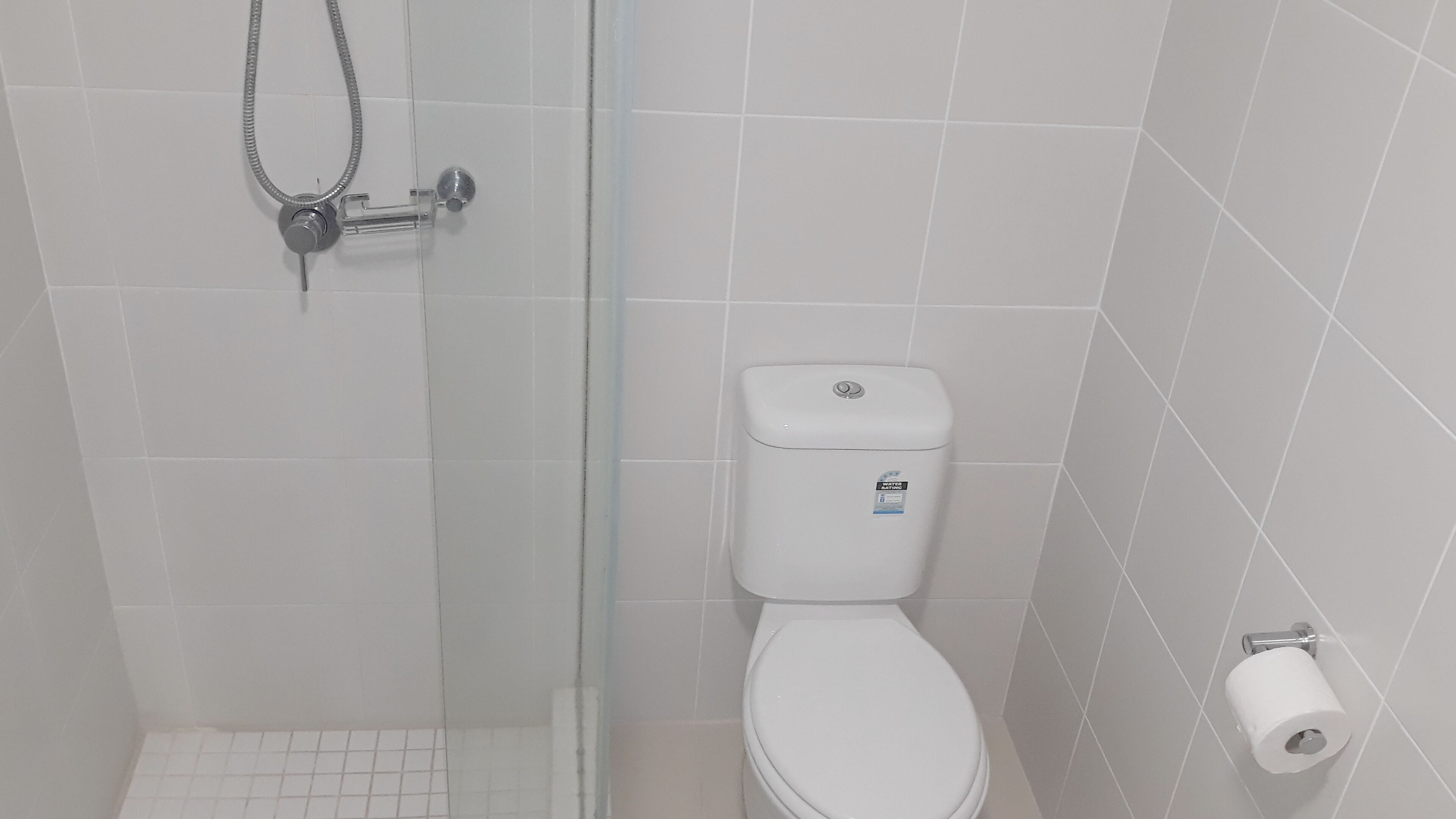 Een badkamer met een toilet, een douche en een toiletrolhouder.