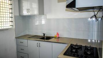Family Apartment, 2 Bedrooms, Kitchen, City View | Private kitchen | Fridge, stovetop, coffee/tea maker, electric kettle
