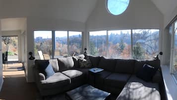 TV, fireplace, books